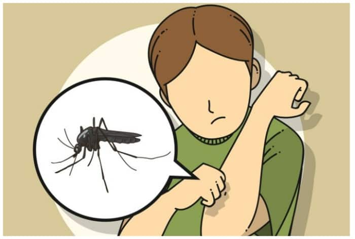 World Malaria Day: 6 Preventive Tips to Keep Your Children Safe