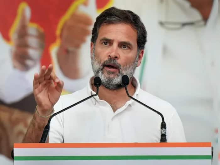 Lok Sabha Elections 2024: 'Congress Will Do 'X-ray' of Country Through Caste Census, Says Rahul Gandhi