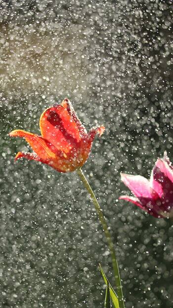 Noida NCR IMD Weather Update: Cloudy Sky, Rainfall Predicted For Delhi, Ghaziabad Today