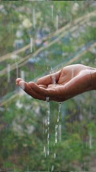 Delhi-NCR Weather Update: Heavy Rains Predicted For City This Week