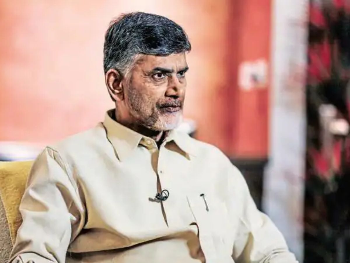 Why TDP Linked Stocks Are Surging After Lok Sabha Election Results 2024