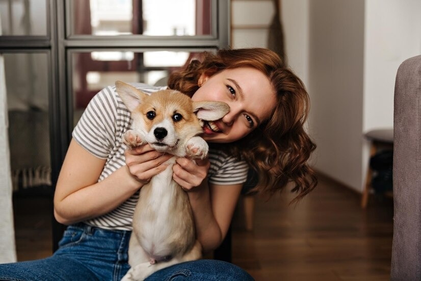 National Pet Day 2024 5 Wellness Tips to Keep Your Furry Friends Happy