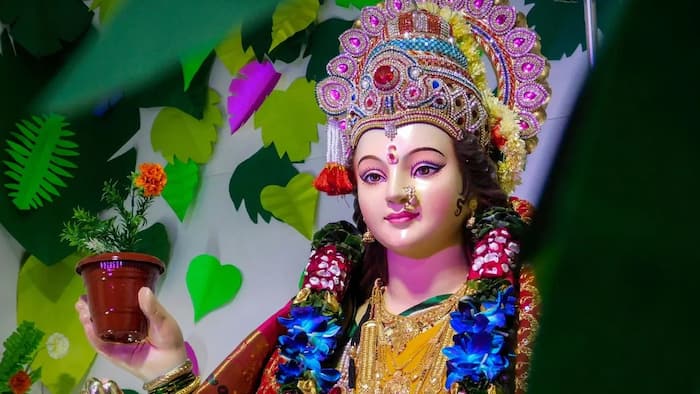 Chaitra Navratri Ashtami 2024: Know Kanjak Date, Auspicious Timings And Rituals to Celebrate Mahashtami