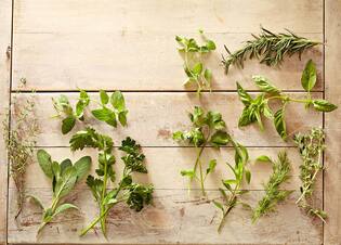 5 Summer-Friendly Herbs to Keep Your Body Cool