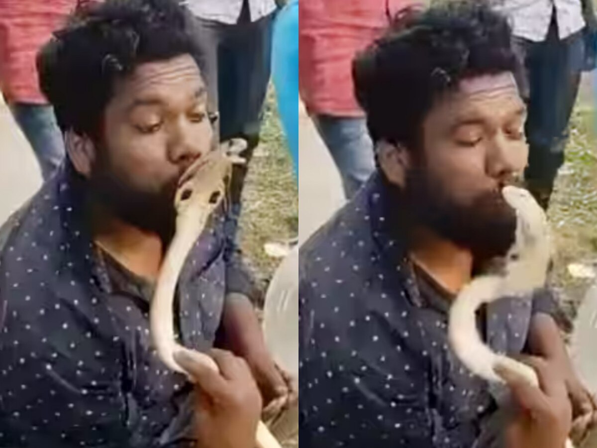 Snake Ka Video जहरीले सांप को चूमने लगा शख्स, मगर एक गलती ने मरवा दिया