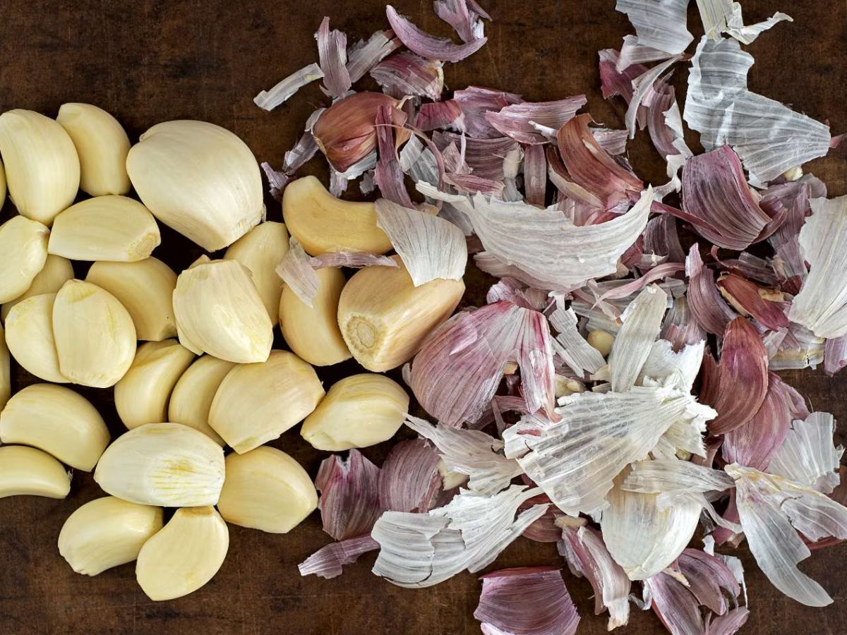 Garlic Peel Benefits लहसुन के छिलके फेंकने के बजाय इस तरह कर लीजिए