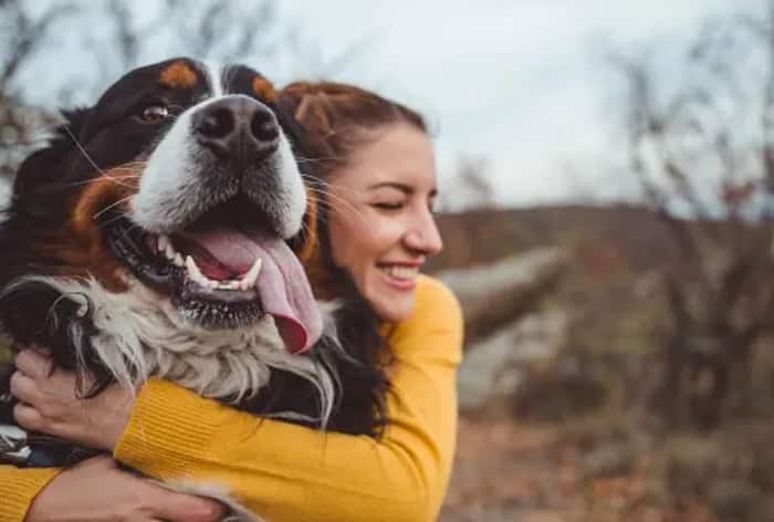 6 Simple Ways To Keep Your Dogs Physically and Mentally Active