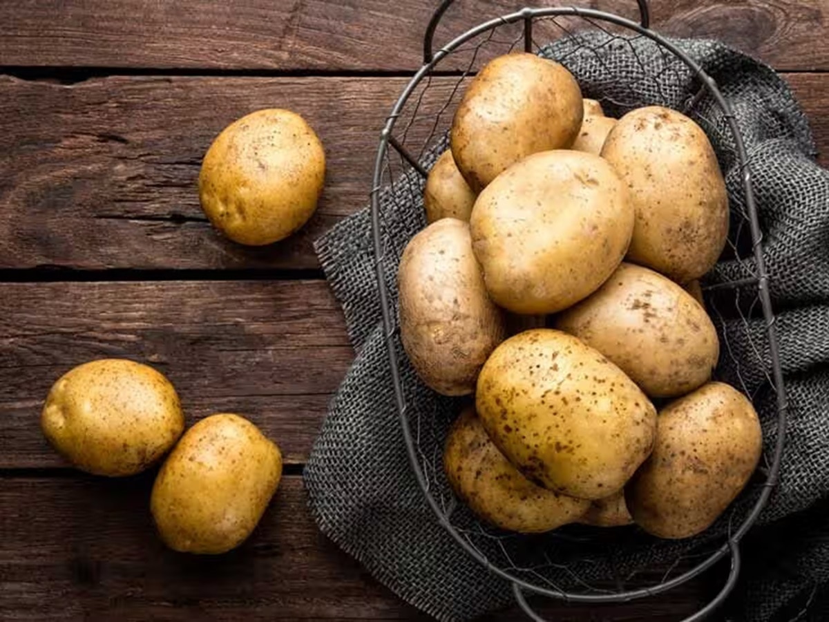 स्पेनिश बटाटा कैसे बना भारतीय आलू? 524 साल पहले पुर्तगाल इसे लाए थे भारत