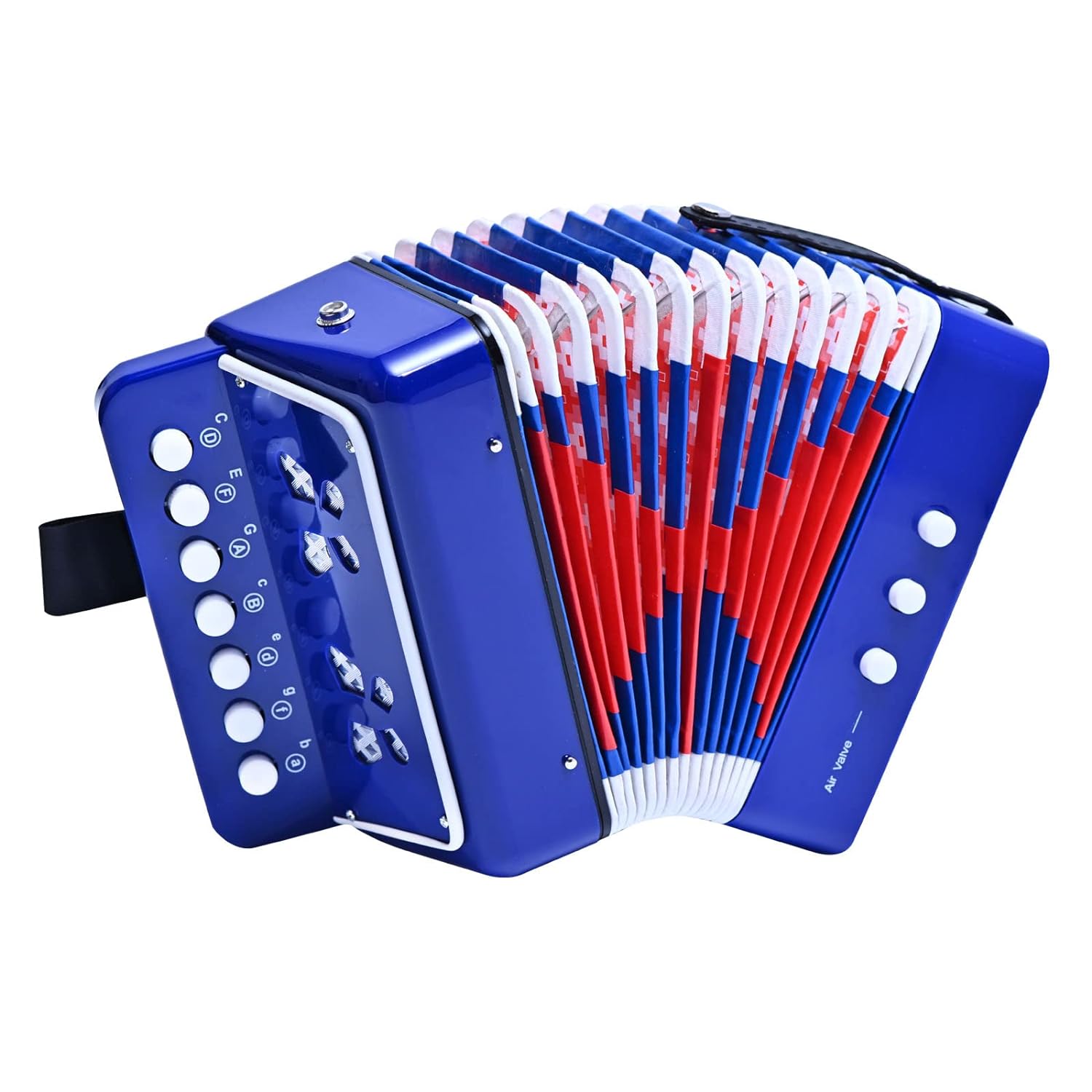 Top 5 Accordions for Beginners to Start Musical Journey