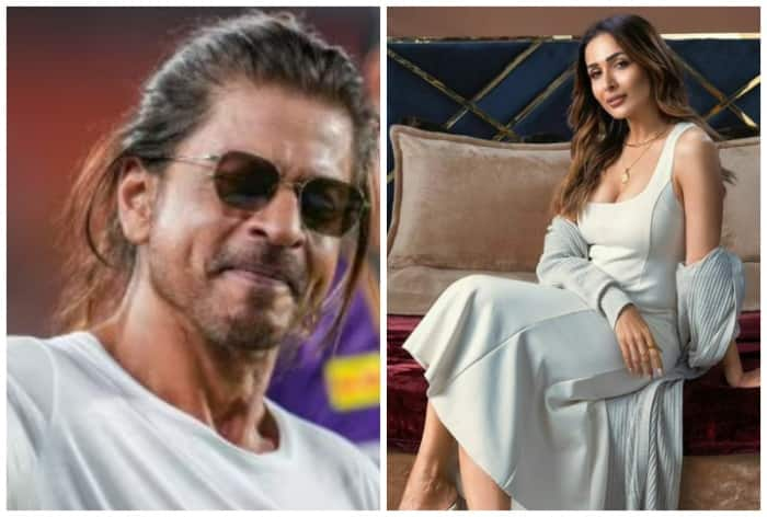 After Shah Rukh Khan's Heatstroke, Malaika Arora Enlists Easy Ways to Survive Rising Temperature