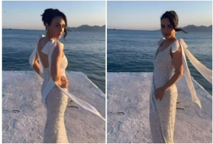 Cannes 2024: Preity Zinta Spreads Her Pearly Charm on the Red Carpet in a White Bridal Gown Embellished With Beads And it Costs THIS Much