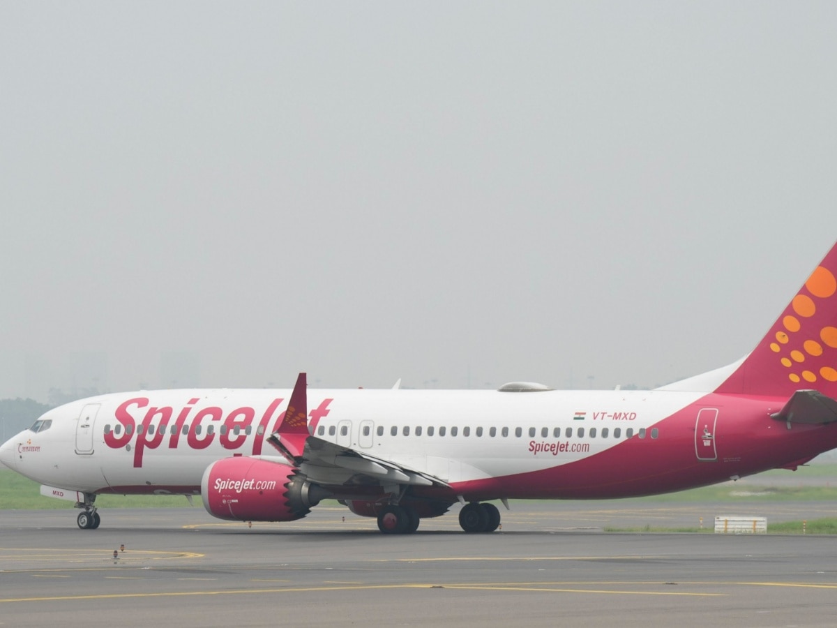 Leh-Bound SpiceJet Flight Returns To Delhi Airport After Bird Hit - Vimarsana News