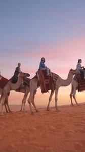 6 Ultimate Saudi Arabia Bucket List Adventures to Tick Off in 2024