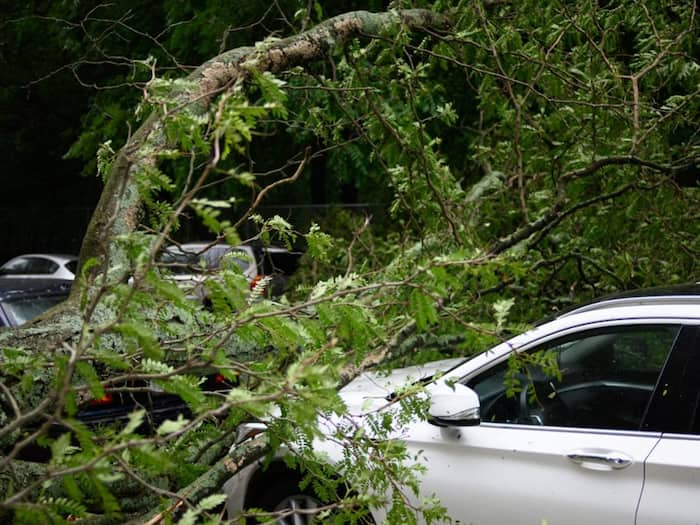 US Car Crash Indian Origin Students Killed