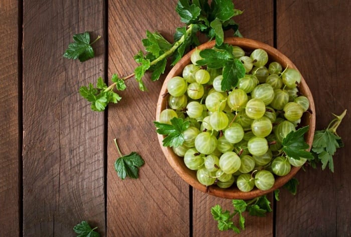 Amla in Summers? All You Need to Know About Indian Gooseberry