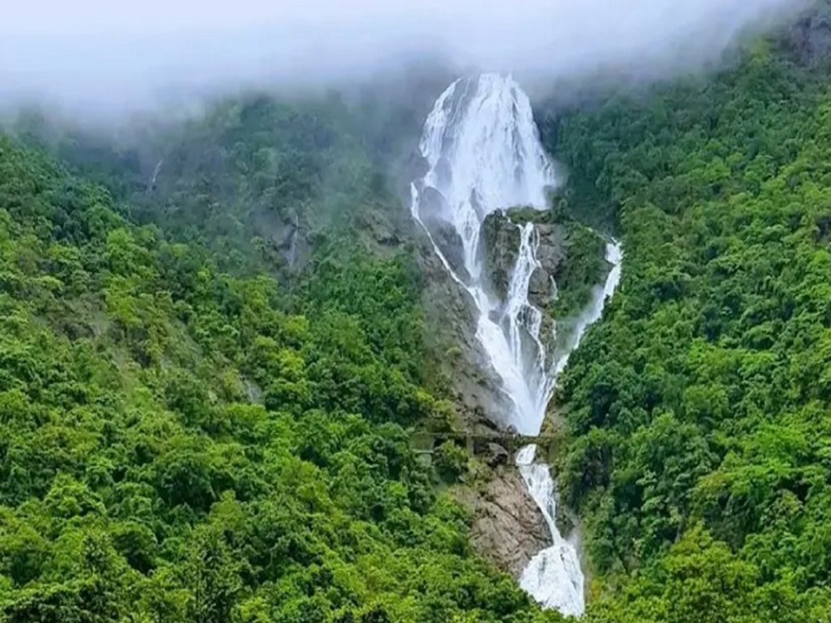 Dudhsagar Falls: गोवा- कर्नाटक की सीमा पर है ये झरना, 320 मीटर ऊंचाई से ...