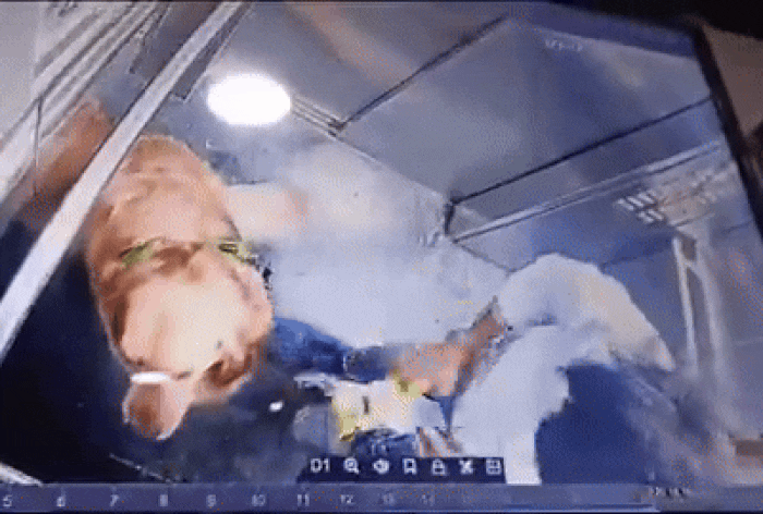 Dog Walker Repeatedly Hits Golden Retriever Inside Gurugram Society Lift, Disturbing CCTV Video Sparks Outrage