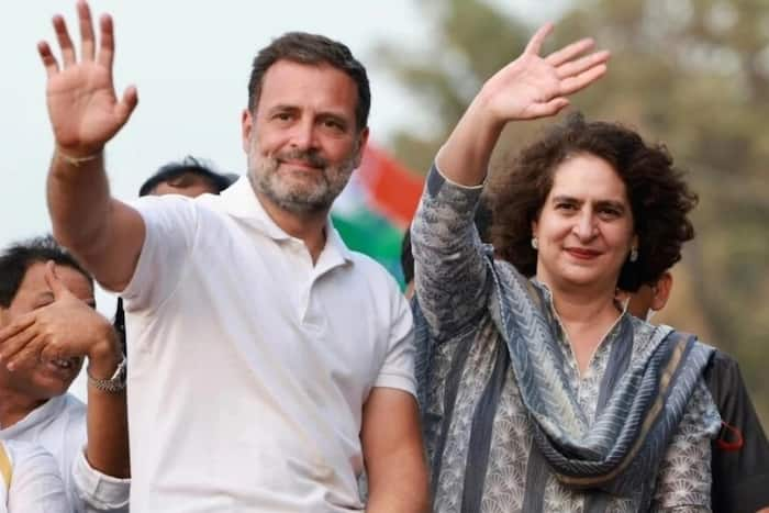 Priyanka Gandhi Vadra, Wayanad, Rahul Gandhi, Rae Bareli, Kerala, Uttar Pradesh, Lok Sabha seat, Congress, Mallikarjun Kharge, Sonia Gandhi, KC Venugopal