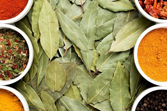 Is it Beneficial to Consume Curry Leaves Daily? Here's What You Need to Know