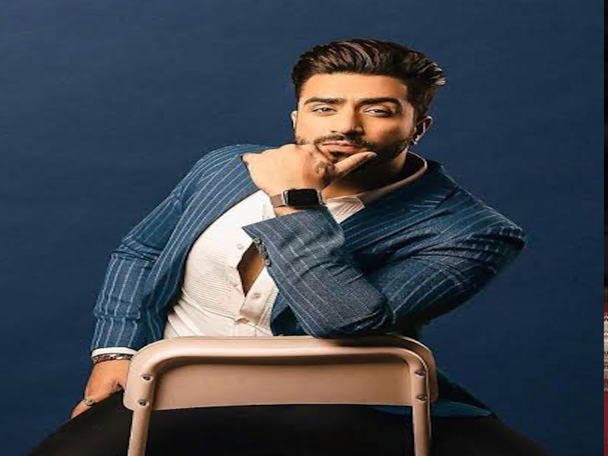 Aly Goni ने क्यों कहा देश तेरे बाप का है? लोकसभा नतीजों को लेकर एक्टर ...