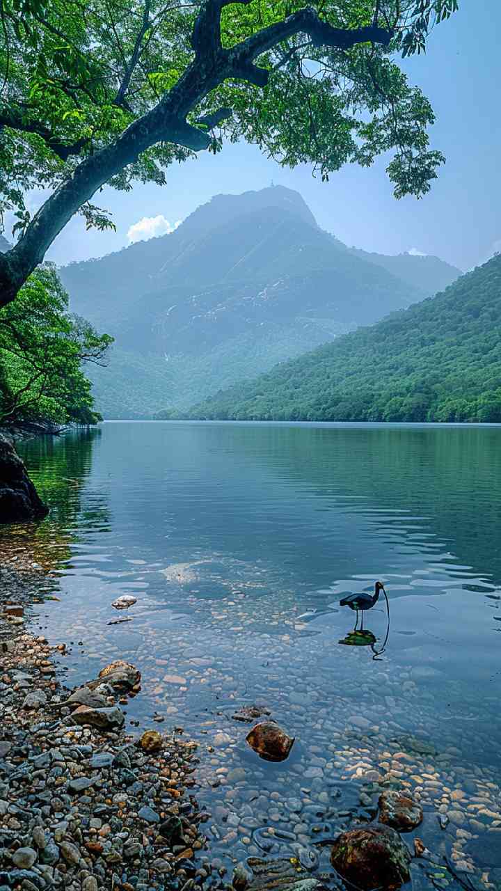 Andhra Rivers Top 7 Rivers & Lakes In Andhra Pradesh
