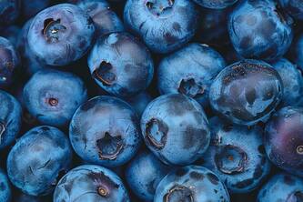 Discover 10 Surprising Health Benefits Of Blueberries