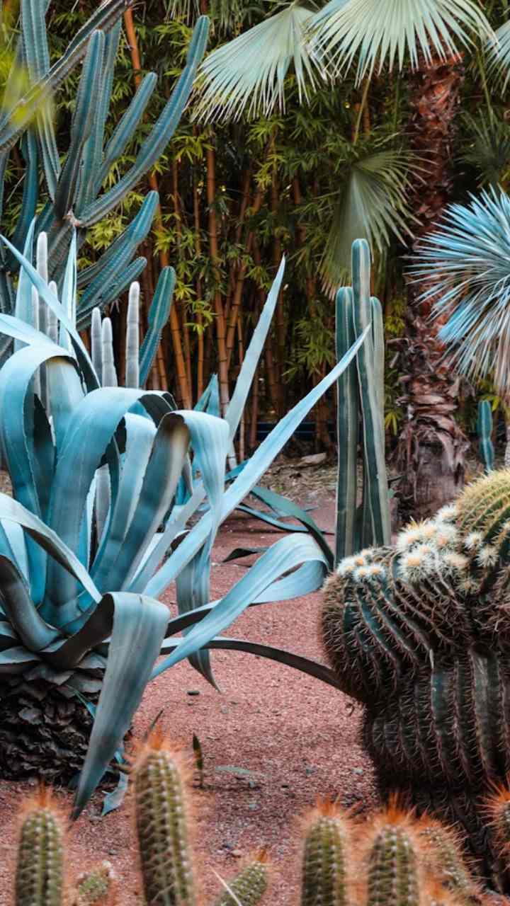 8 Most Colorful Gardens In The World