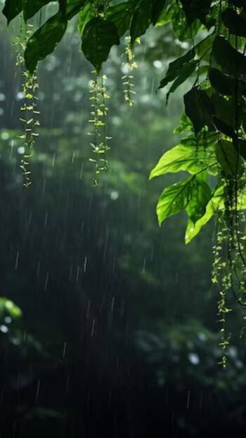 Pune Weather Heavy Rains Predicted Today, Orange Alert Issued - Check Details