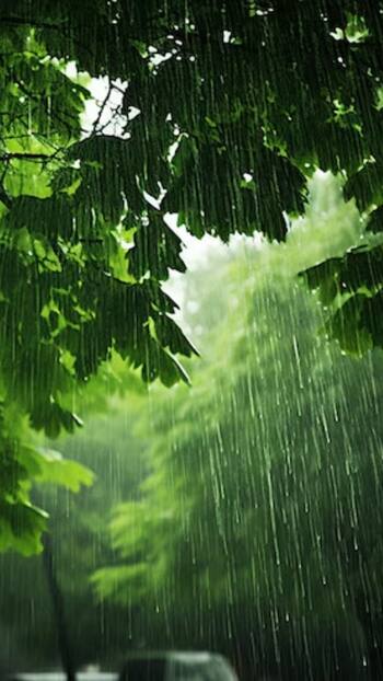 Mumbai Weather Update: IMD Predicts Heavy Rains in City Till July 26