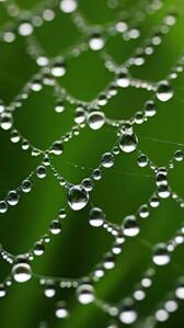 Hyderabad - Telangana Weather Update: IMD Predicts Heavy Rains Till This Day