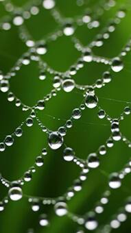 Hyderabad - Telangana Weather Update: IMD Predicts Heavy Rains Till This Day