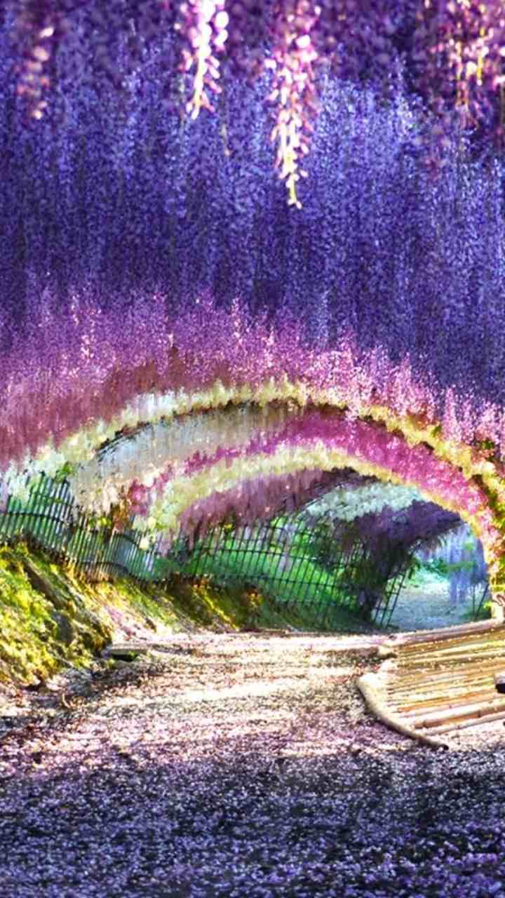 8 Most Colorful Gardens In The World