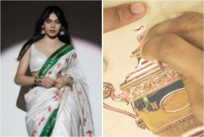 Wimbledon-Themed Saree Features Champions’ Names, Strawberry Motifs, and Trophy