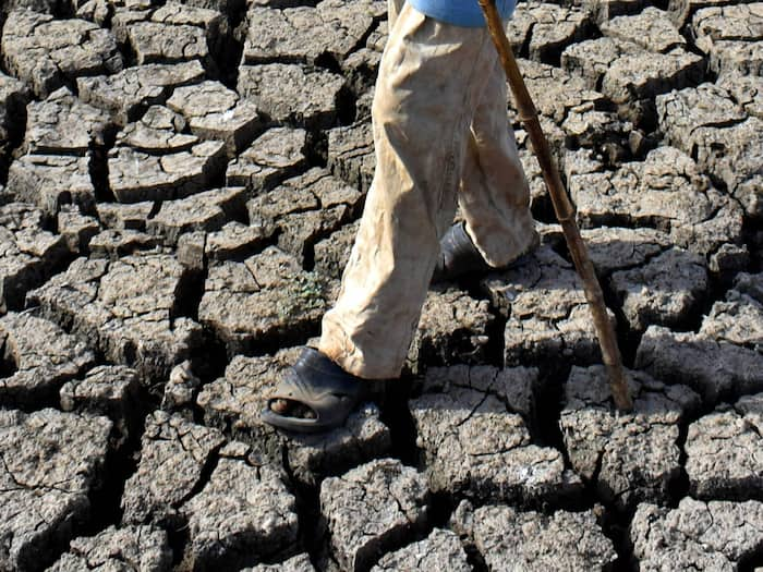 Maharashtra Water Crisis: Storage Plummets To Alarming Levels In 11 Marathwada Reservoirs; 2 Run Dry At Zero Percent