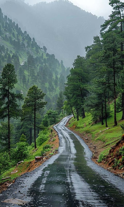 8 Places To Avoid In Jammu & Kashmir During Monsoon
