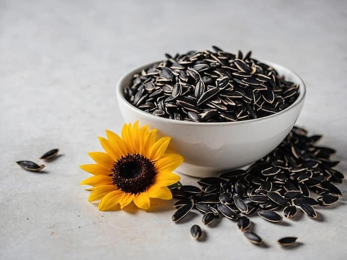 Weight Loss to Heart Health, 6 Reasons Sunflower Seeds Are a Must-Have in Your Diet