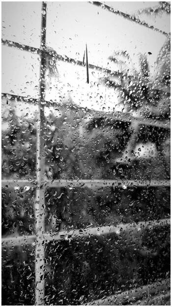 Bengaluru City Weather July 20: Pleasant Weather, Rain Expected; Check IMD Forecast