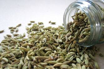 Discover The Incredible Health Benefits Of Fennel Seeds