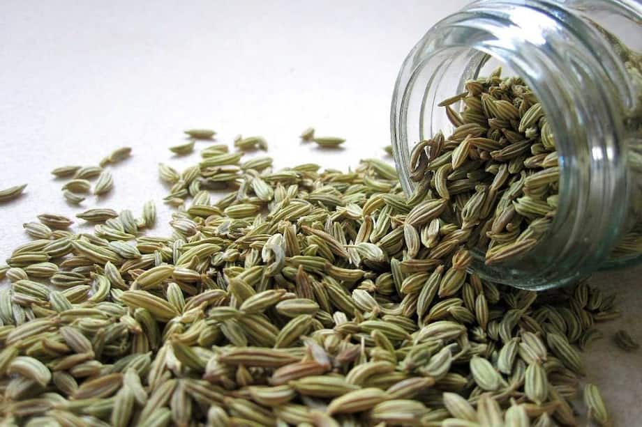 Discover The Incredible Health Benefits Of Fennel Seeds