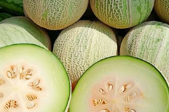 10 Reasons To Include Ash Gourd In Your Diet