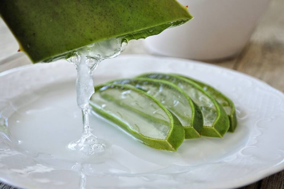 Benefits Of Including Aloe Vera Juice In Your Diet