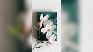 Unveiling The Secret To A Healthier Lifestyle: Magnolia Flower Diet.