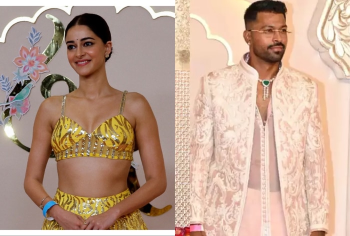 Hardik Pandya And Ananya Panday Follow Each Other on Instagram After Cricketer’s Separation With Wife Natasa, Fans Ask ‘Kya Chal Raha Hai’