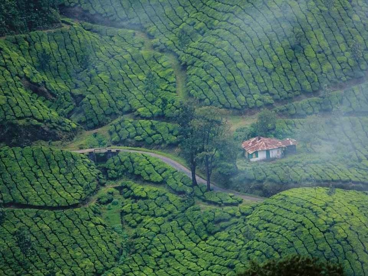 Munnar hill station: जिसे कहा जाता है धरती का 'स्वर्ग', कश्मीर से कम ...