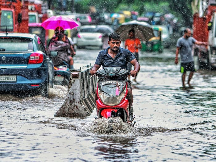 Rain  15