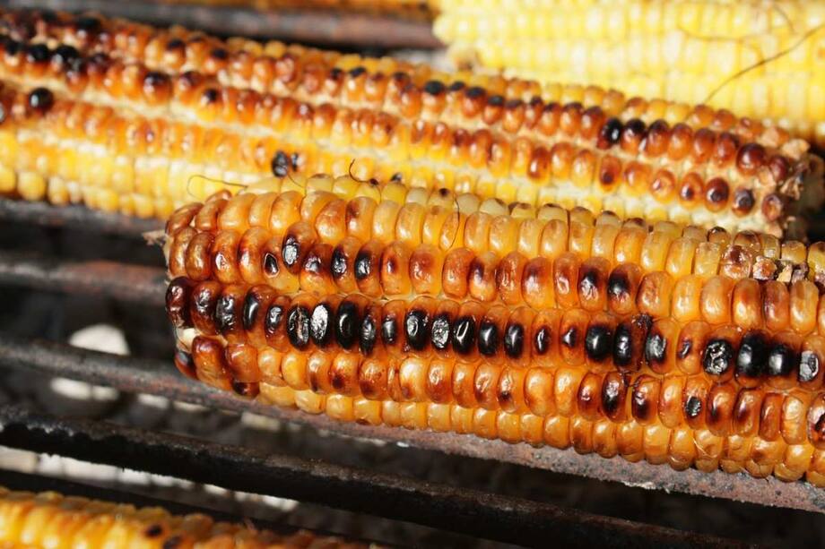 Unveiling The Top 10 Health Benefits Of Sweet Corns For Women