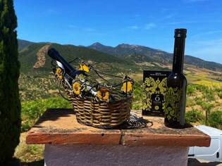 Author Veidehi Gite Reveals The Fascinating World Of Oleum Virides Olive Oil