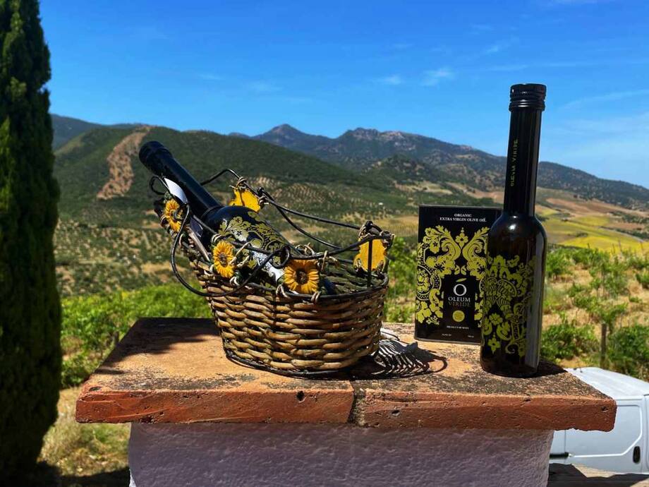 Author Veidehi Gite Reveals The Fascinating World Of Oleum Virides Olive Oil