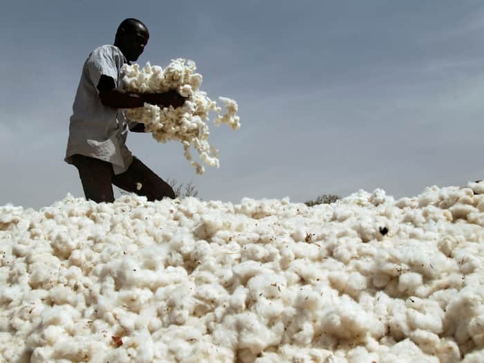 Cotton