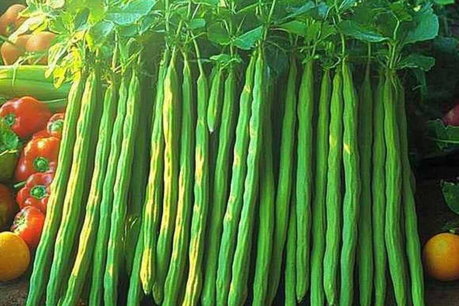 The Secret 11 Benefits Of Drum Sticks That Will Amaze You